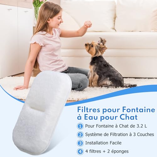 <think>
Okay, the user wants me to optimize a product title in French. Let me start by understanding the original title.