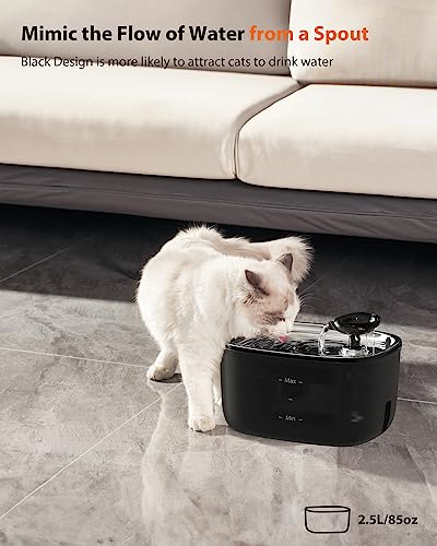 Fontaine à eau pour chat en inoxydable | Silencieuse | |5L | Filtres inclus | Facile à nettoyer | Noir