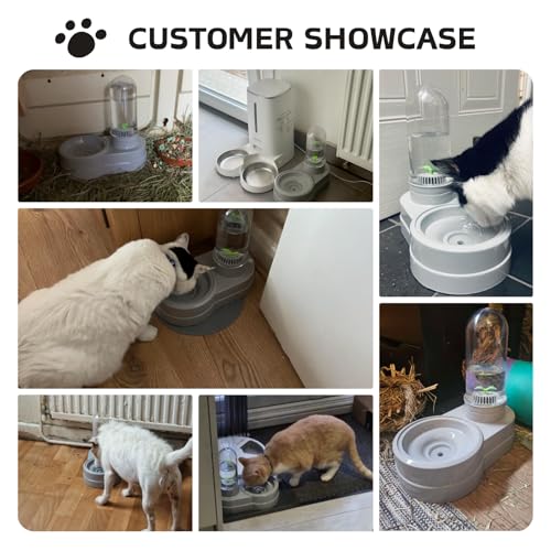 Distributeur d'eau automatique gravitaire avec filtre pour petit chien chat lapin, 580 ml (gris)