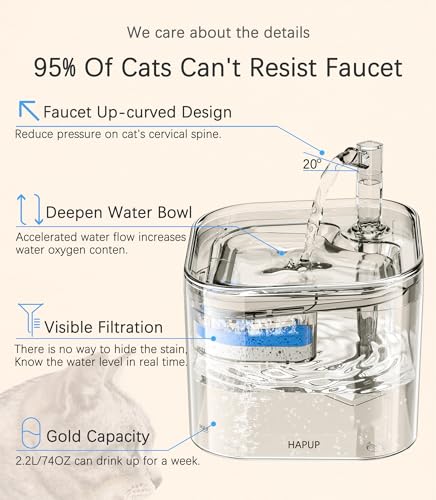 Fontaine à eau HAPUP 2,2L pour chat automatisée avec filtre charbon actif et pompe silencieuse pour chat