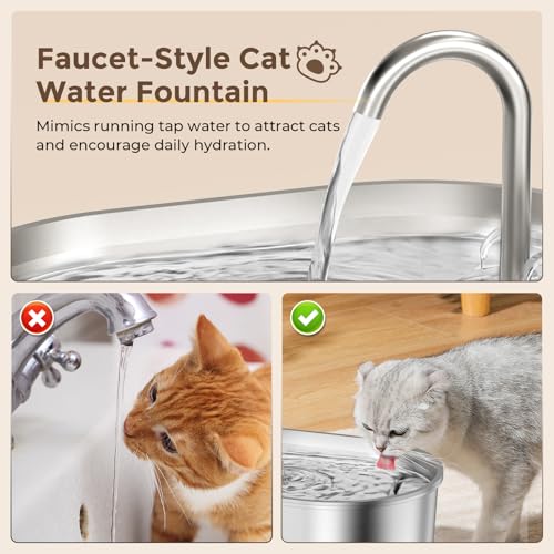 Invengo Fontaine à Eau pour Chat | Acier Inoxydable | Facile à Nettoyer | 4 Filtres Inclus | Design Anti-Éclaboussures |