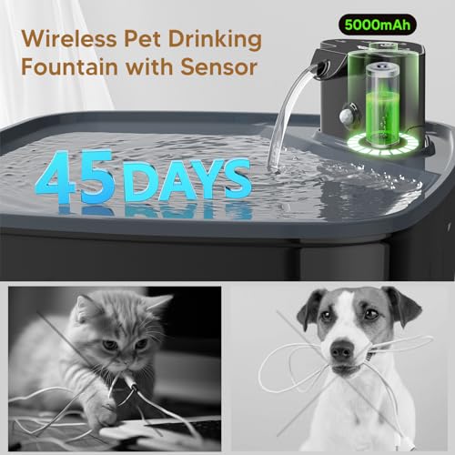 Fontaine d'eau sans fil pour chien | Avec détecteur de mouvement | Batterie 5000mAh | Pompe silencieuse | Filtre à charb