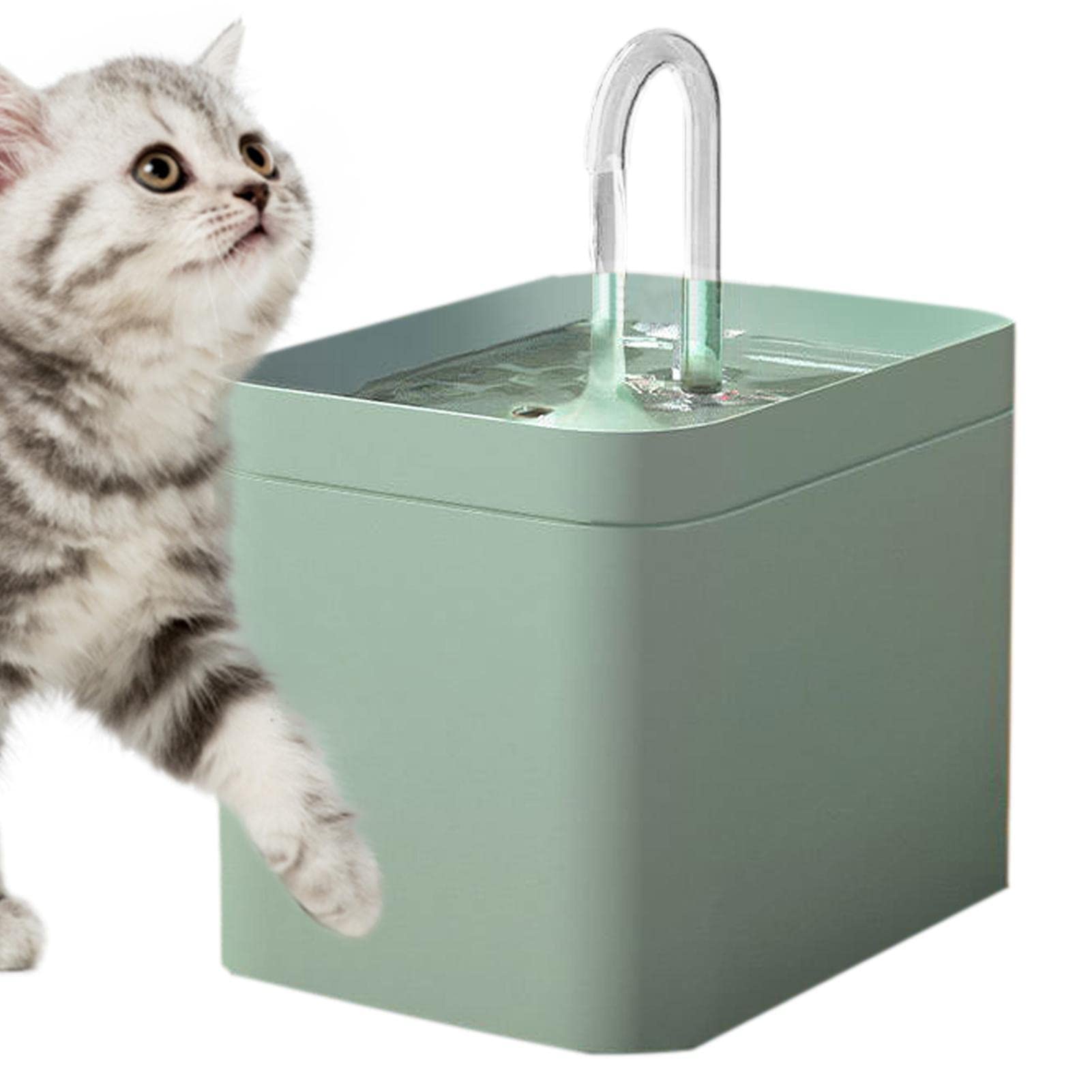 <think>
Okay, so the user wants me to modify this product title for a cat fountain. The original title is in French, and